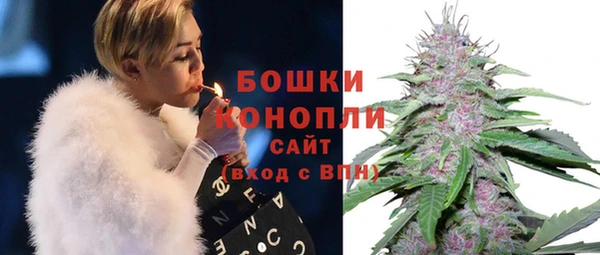 mdpv Кодинск