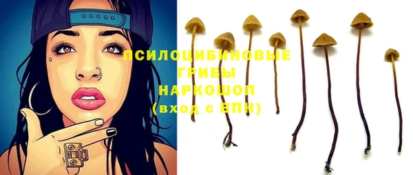 таблы Козловка