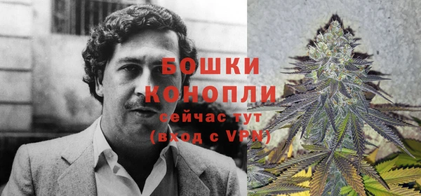 таблы Козловка