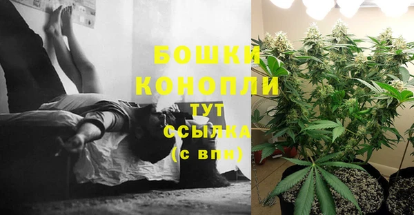 таблы Козловка