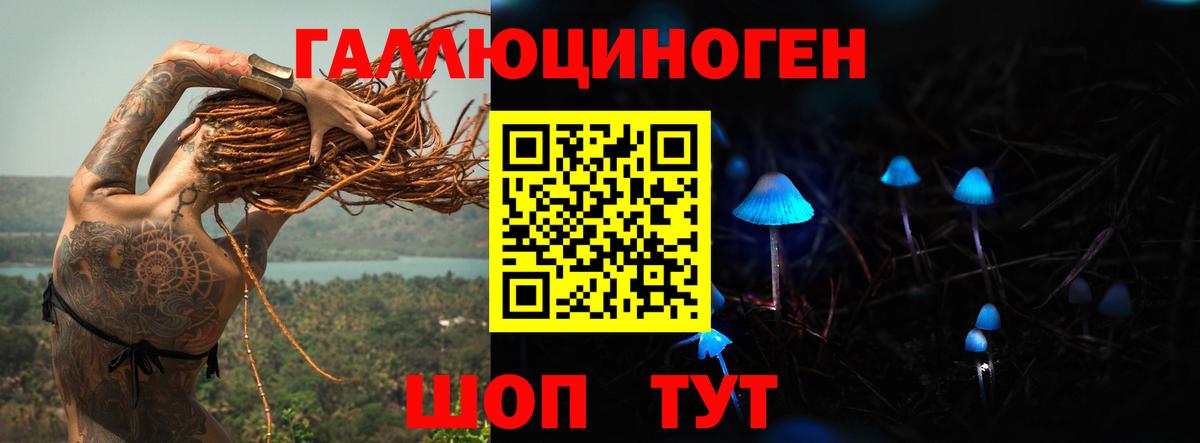 Галлюциногенные грибы Psilocybe Снежинск